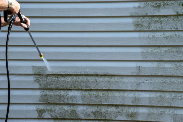 Affordable Siding Repair and Maintenance Services in Lawnton, PA