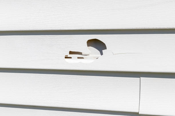 Best Insulated Siding Installation  in Lawnton, PA