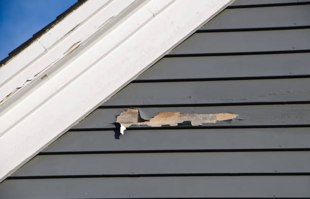 Best Storm Damage Siding Repair  in Lawnton, PA