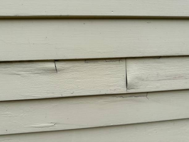 Best Siding Repair  in Lawnton, PA